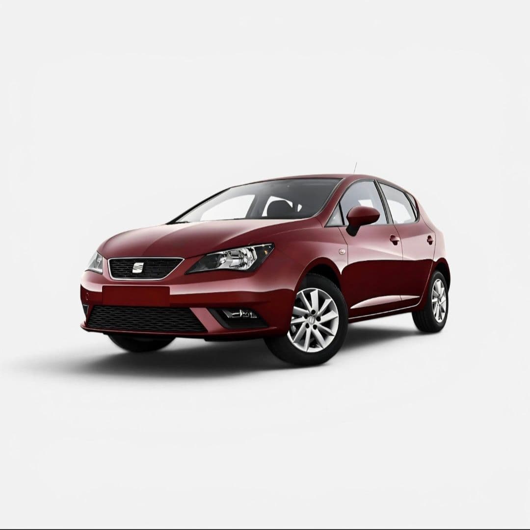 Seat Ibiza 6J